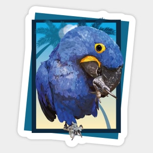 Hyacinth macaw Sticker